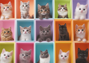 " ФРЕЯ" Пазл 1000 элемент. PZL- 1000/ 91 Ящики с сюрпризом